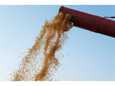 Зернова сівалка