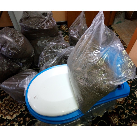 Біо торф  фото №2