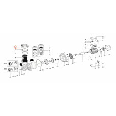 Гайка кришки префільтра насоса QP Starpump Pro (11000458) фото