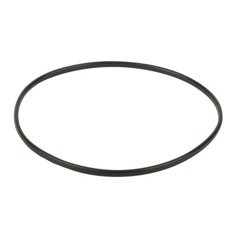 Ущільнювальне кільце до притискного фланця корпуса насоса Emaux SC (02011089) фото