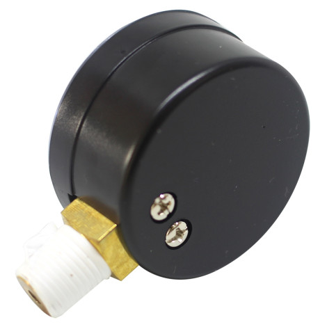 Манометр Hayward PWL ECX271261  фото №2