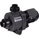 Насос Hayward HCP09101E2 KNG100 M.B IE2 (220 В, 15,9 м3/час, 1 HP)  фото №1