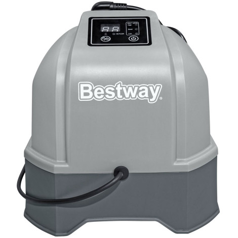 Хлоргенератор Bestway 58775 12 г/год  фото №2