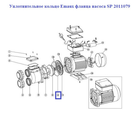 Ущільнювальне кільце Emaux фланця насосу SP 2011079  фото №2