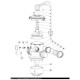 Ротор клапана Emaux 1.5" з прокладкою Spider 89280701  фото №2