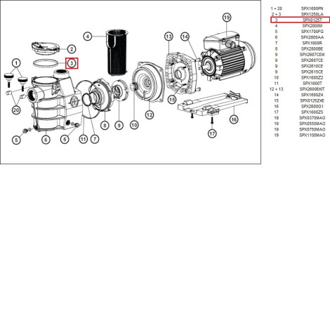 Ущільнювальне кільце кришки префільтра насоса Hayward PL Plus (SPX125T)  фото №2
