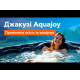 СПА-басейн Aquajoy Saint-Tropez (280х230х95 см), Сріблясто-білий мармур  фото №2