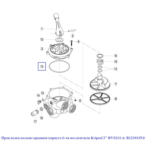 Прокладка-кільце кришки корпусу 6-позиційного вентиля Kripsol 2" RVS213.A/ R1210135.0  фото №2