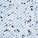 Лайнер Aquajoy Terrazzo мармурова крихта (протиковзкий) 1.65x20.2 м  фото №2