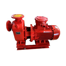 Высокопроизводительный насос для бензина и дизельного топлива PL-ATEX-100/380 фото