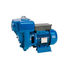 Насос поверхневий Speroni HG 80-2,2 (101242650) фото