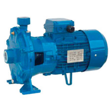 Насос поверхневий Speroni 2C 40/180B (101080890) фото
